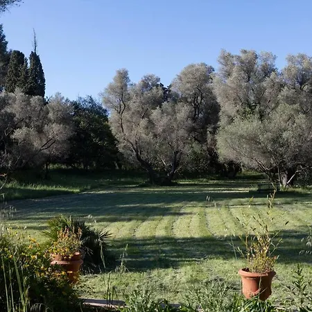 Villa Magdala-Chambre D'Hote 2 Hyères